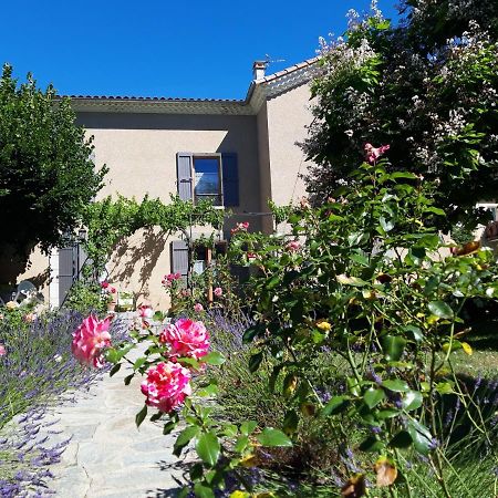 Le Clos Du Verger La Motte-du-Caire エクステリア 写真