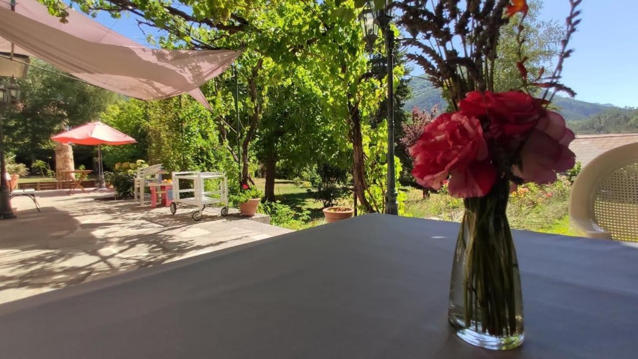 Le Clos Du Verger La Motte-du-Caire エクステリア 写真